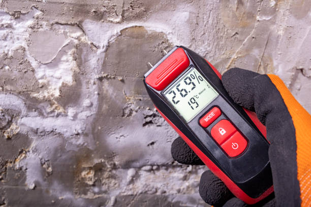 Best Crawl Space Mold Removal  in South El Monte, CA