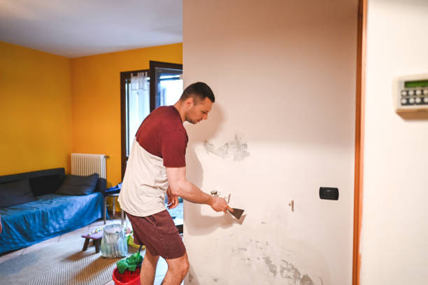 Best Office Mold Removal Services  in South El Monte, CA
